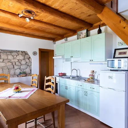 Ivana By Vintage Travel *