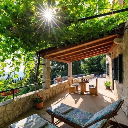 Ivana By Vintage Travel